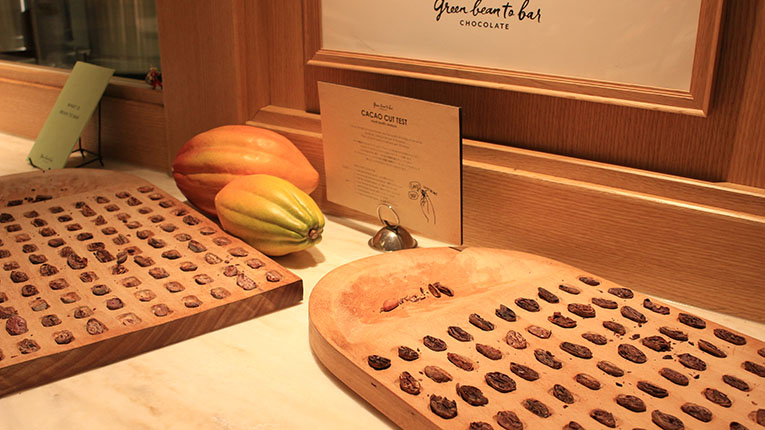 Five Spots Near Daikanyama T-site